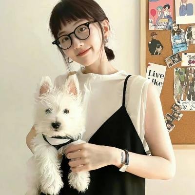花园蜘蛛